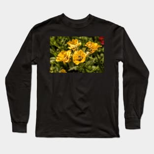 Nemesia Sundrops Long Sleeve T-Shirt